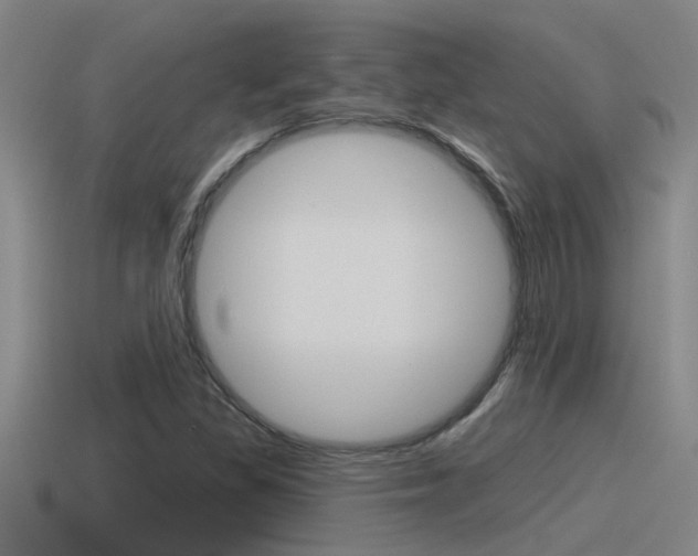 X0000115491309200911060953