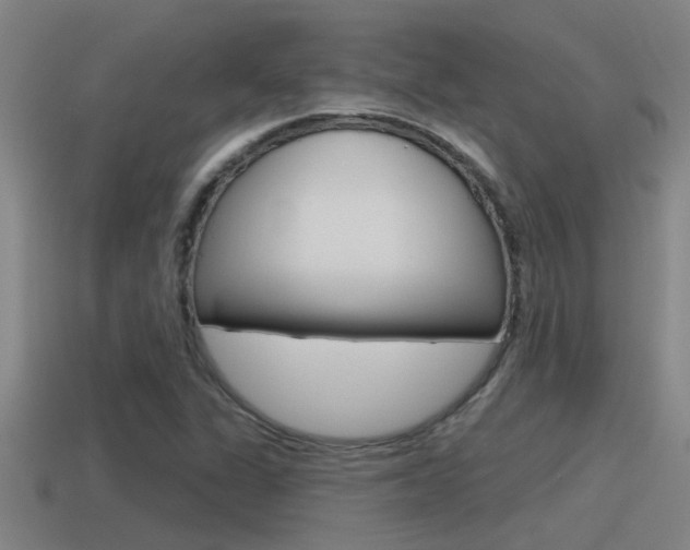 X0000115491311200911060953