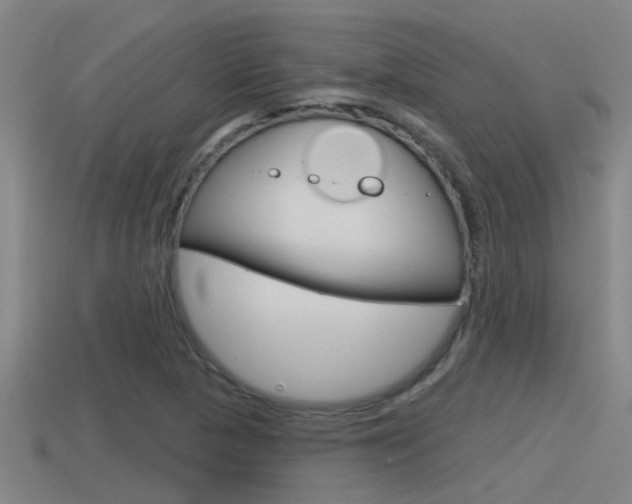 X0000115491313200911060953