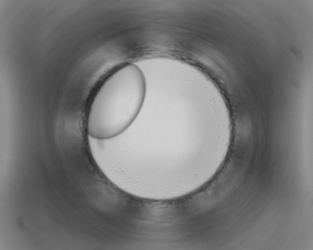 X0000115491314200911060953