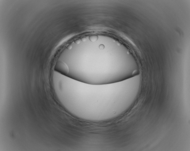 X0000115491315200911060953