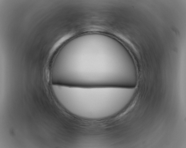 X0000115491317200911060953