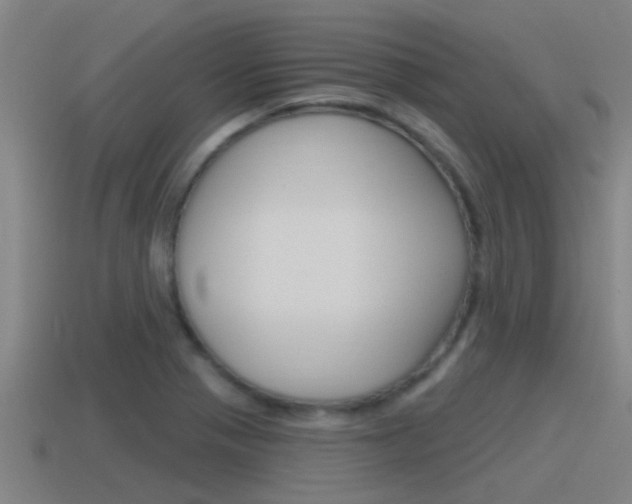 X0000115491321200911060953