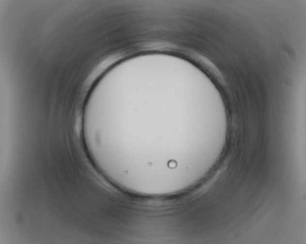 X0000115491322200911060953