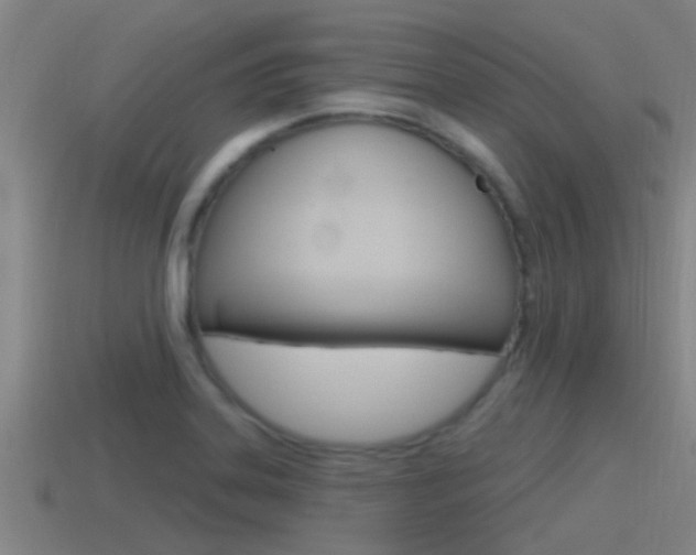 X0000115491323200911060953