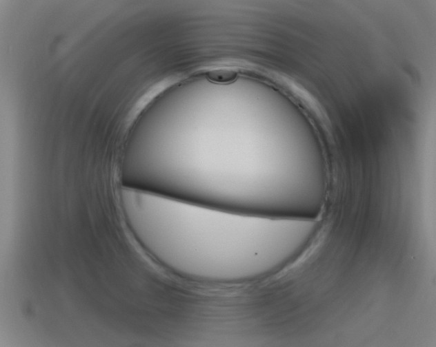 X0000115491329200911060954