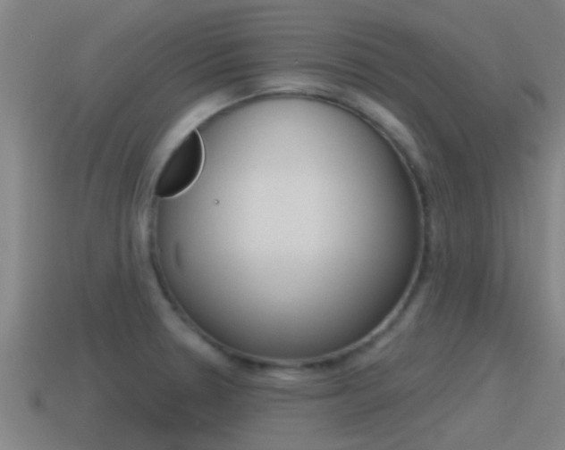 X0000115491330200911060954