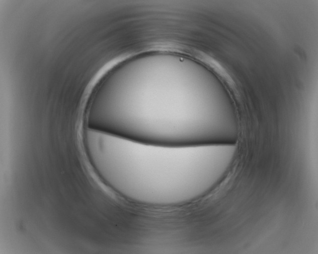 X0000115491331200911060954