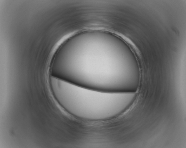 X0000115491333200911060954