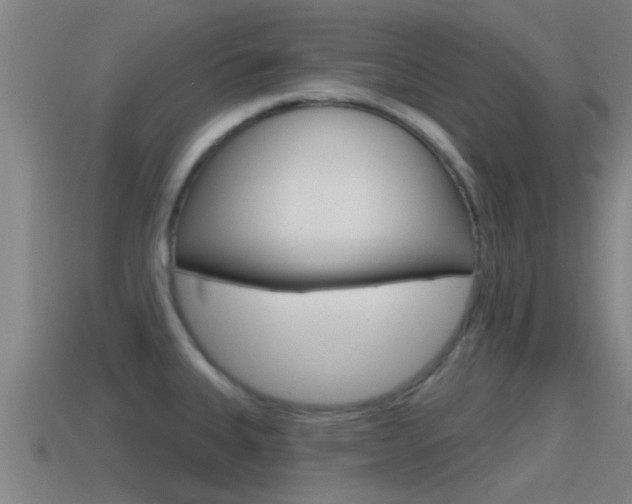 X0000115491335200911060954