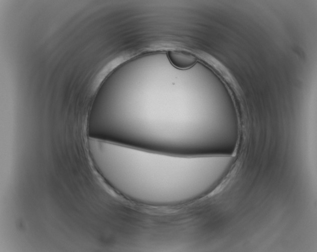 X0000115491337200911060954