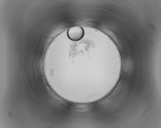 X0000115491338200911060954