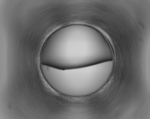 X0000115491341200911060954
