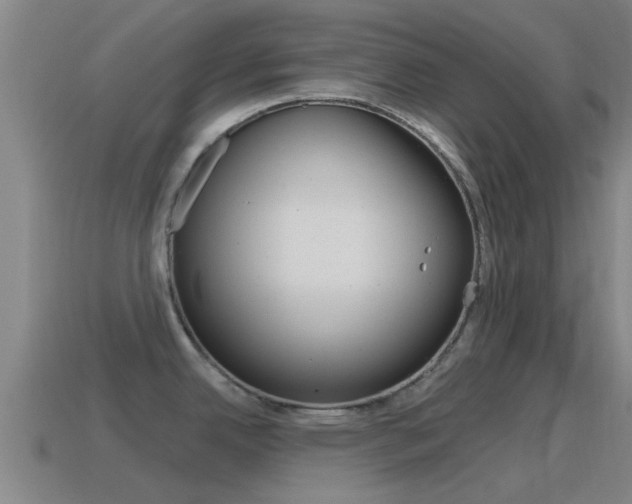 X0000115491342200911060954
