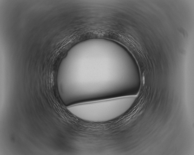 X0000115491347200911060953
