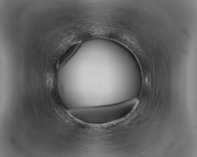 X0000115491348200911060953