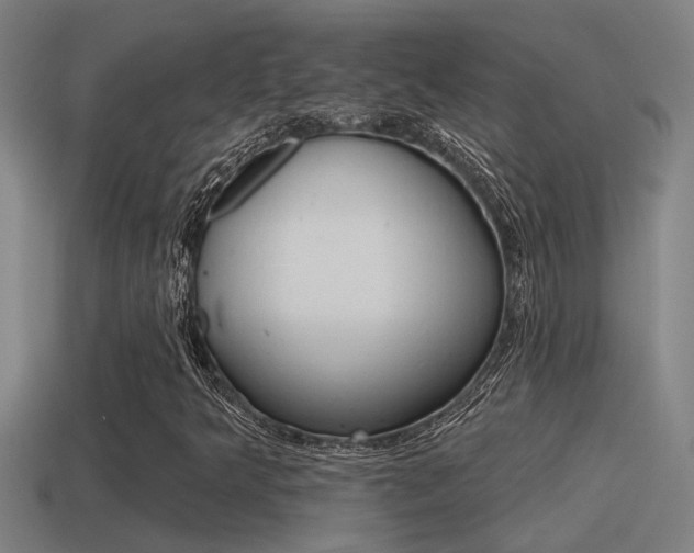 X0000115491349200911060953