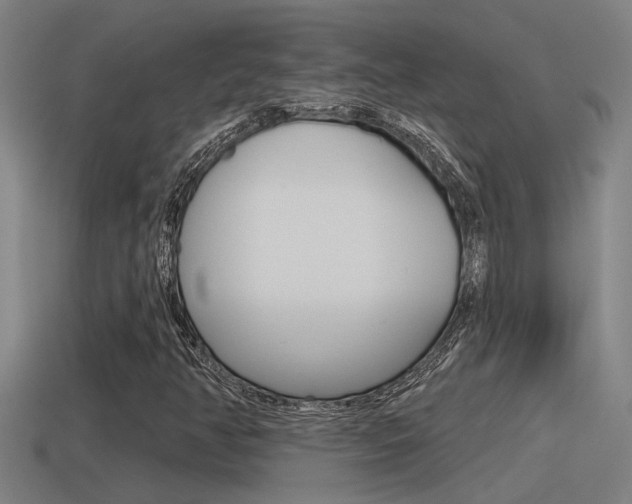 X0000115491350200911060953