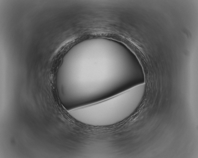 X0000115491351200911060953
