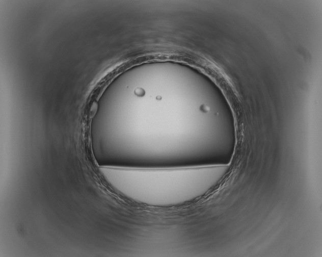 X0000115491352200911060953