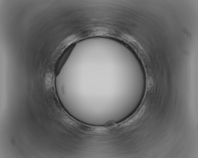 X0000115491353200911060953