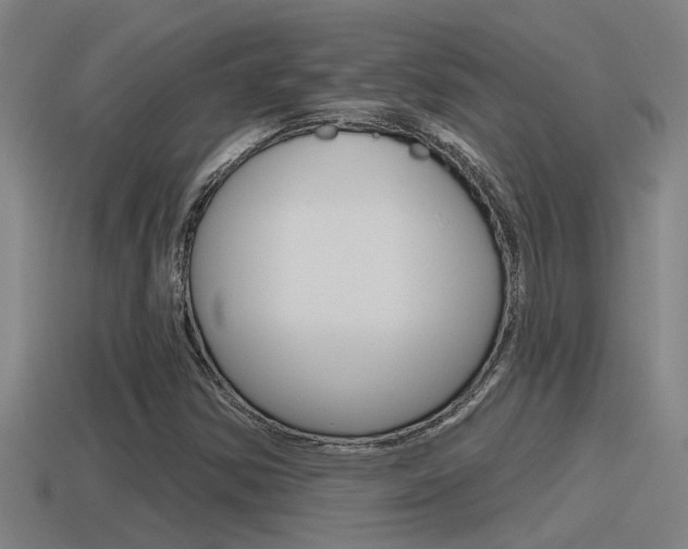 X0000115491354200911060953
