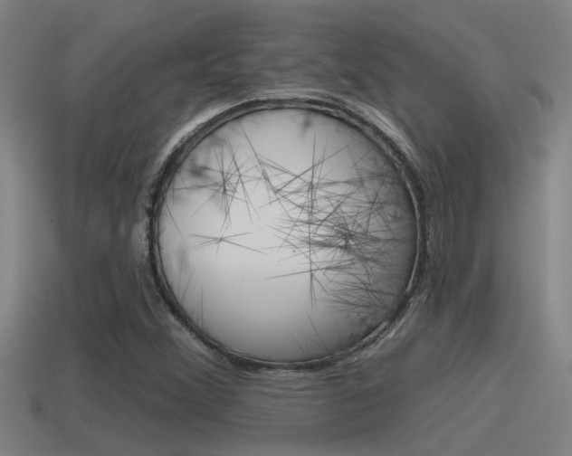 X0000115491356200911060953