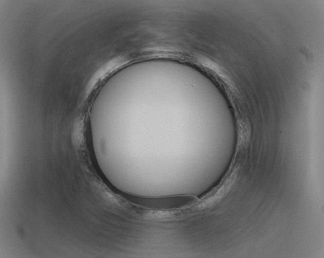 X0000115491357200911060953