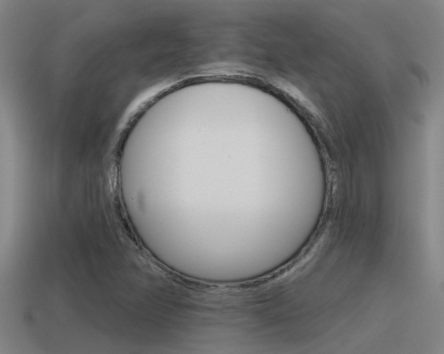 X0000115491358200911060953