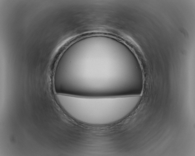X0000115491360200911060953