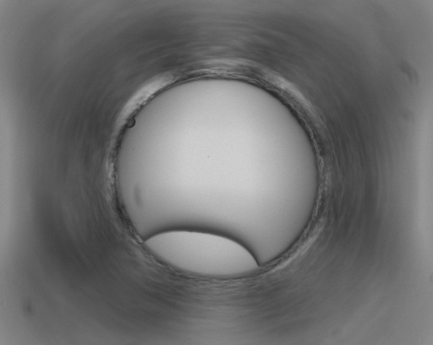 X0000115491362200911060953