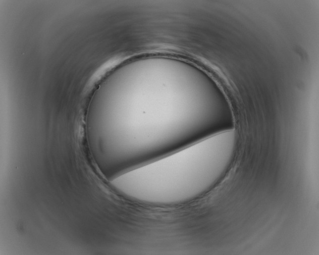X0000115491363200911060953