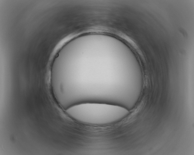 X0000115491366200911060953