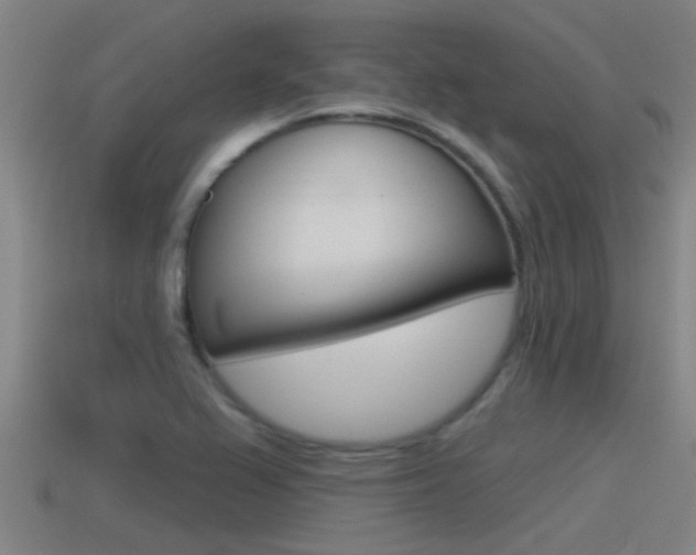 X0000115491367200911060953