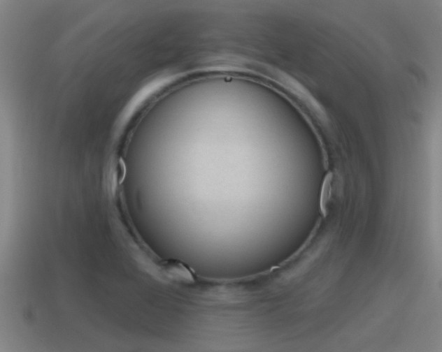 X0000115491368200911060953