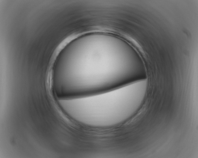 X0000115491371200911060953