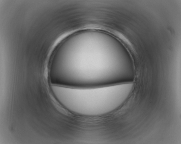 X0000115491372200911060953