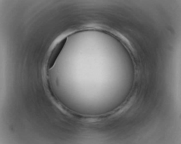 X0000115491373200911060953