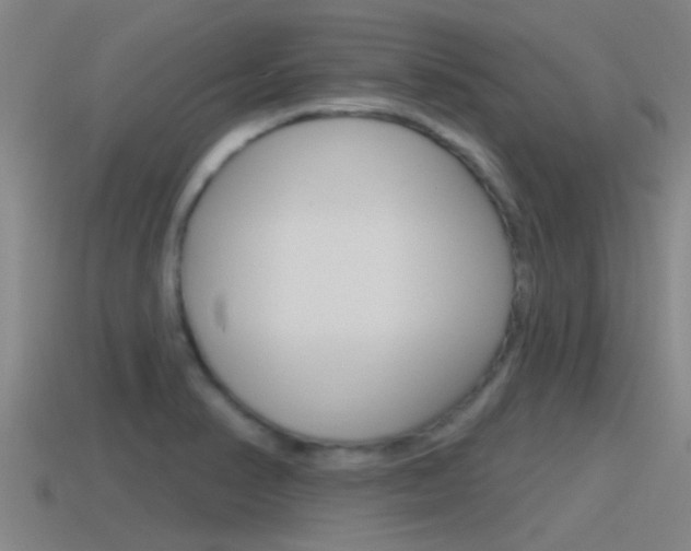 X0000115491374200911060953