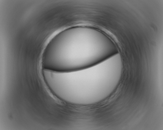 X0000115491375200911060953