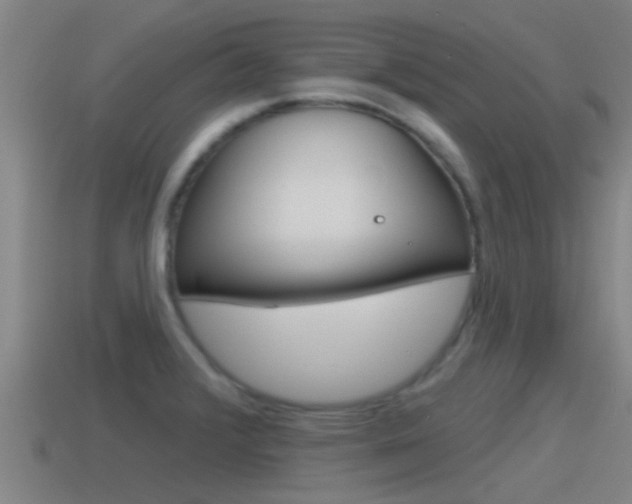 X0000115491376200911060953