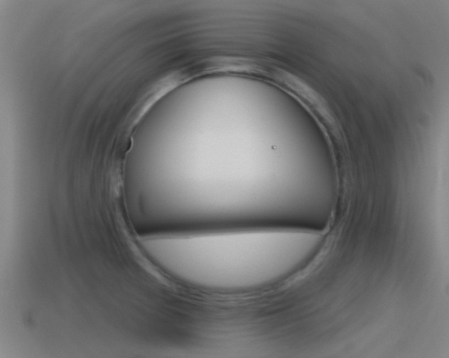 X0000115491377200911060953