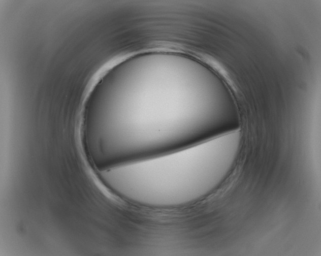 X0000115491379200911060952