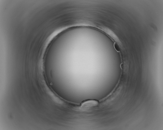 X0000115491380200911060952