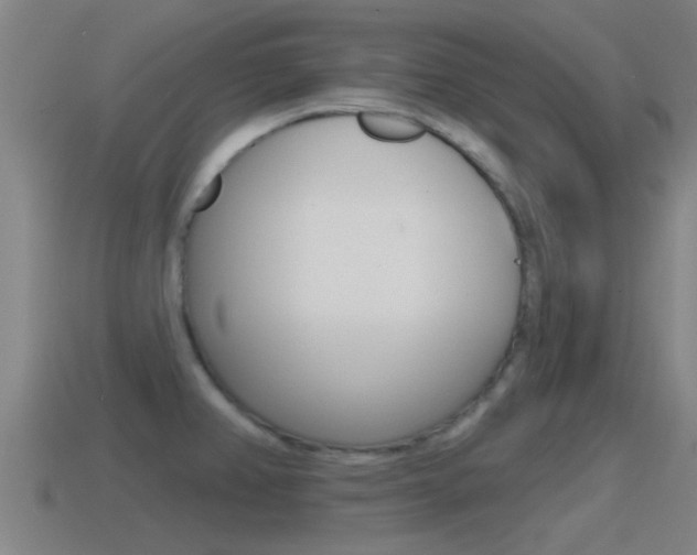 X0000115491382200911060952
