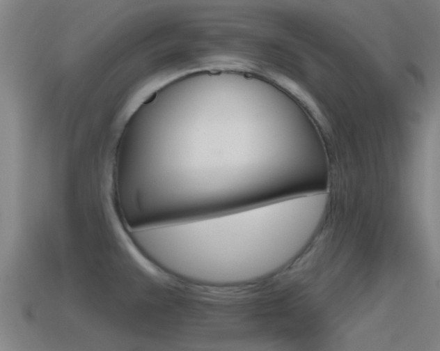 X0000115491383200911060952