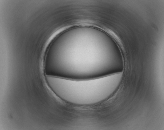 X0000115491384200911060952