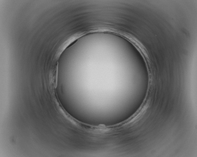 X0000115491385200911060952