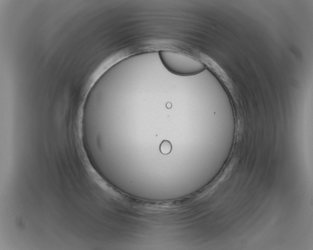 X0000115491386200911060952