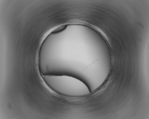 X0000115491387200911060952